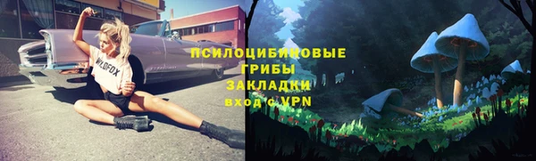 спиды Зерноград