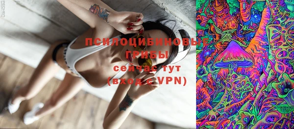 МДПВ Зеленокумск