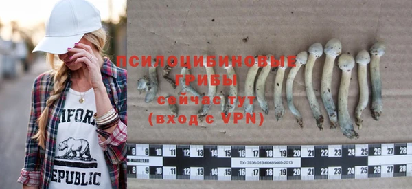 МДПВ Зеленокумск