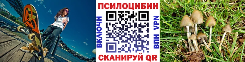 Псилоцибиновые грибы Cubensis  купить   OMG рабочий сайт  Малоярославец 